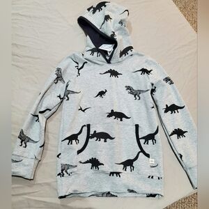 Kids Gray Dinosaur Hoodie